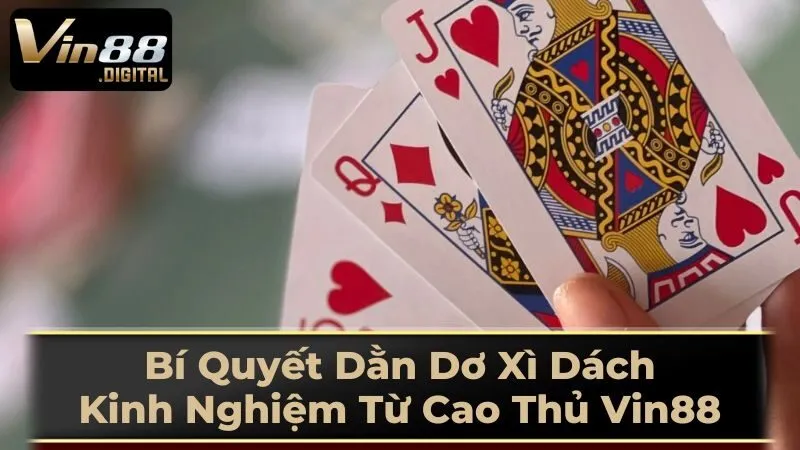 Khi Nào Nên Dằn Dơ?