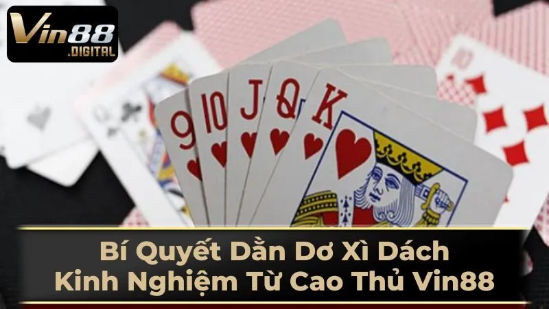 Dằn Dơ Là Gì?