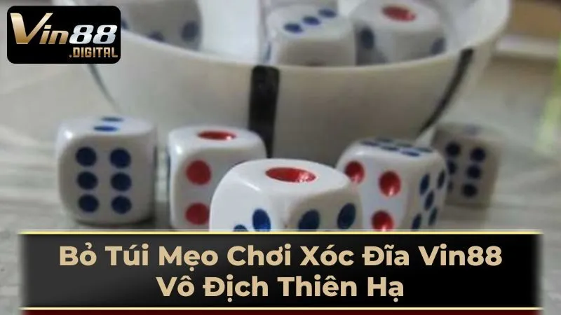 Dụng Cụ Chơi Xóc Đĩa