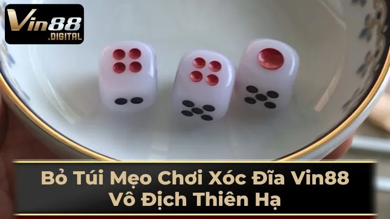 Lưu Ý Khi Chơi Xóc Đĩa