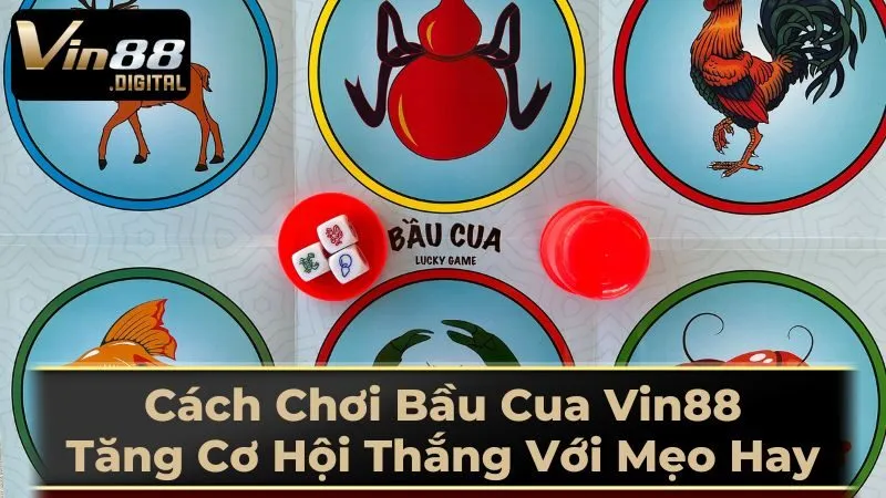 Những Lưu Ý Quan Trọng Khi Chơi Bầu Cua