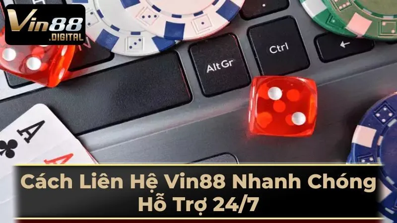 Hướng Dẫn Liên Hệ Vin88 Cho Từng Trường Hợp Cụ Thể