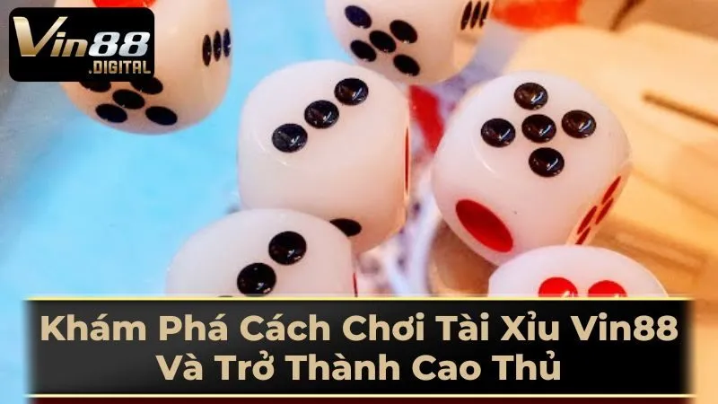 Những Lưu Ý Khi Chơi Tài Xỉu