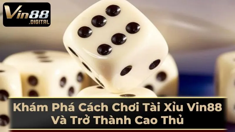 Hướng Dẫn Cách Chơi Tài Xỉu