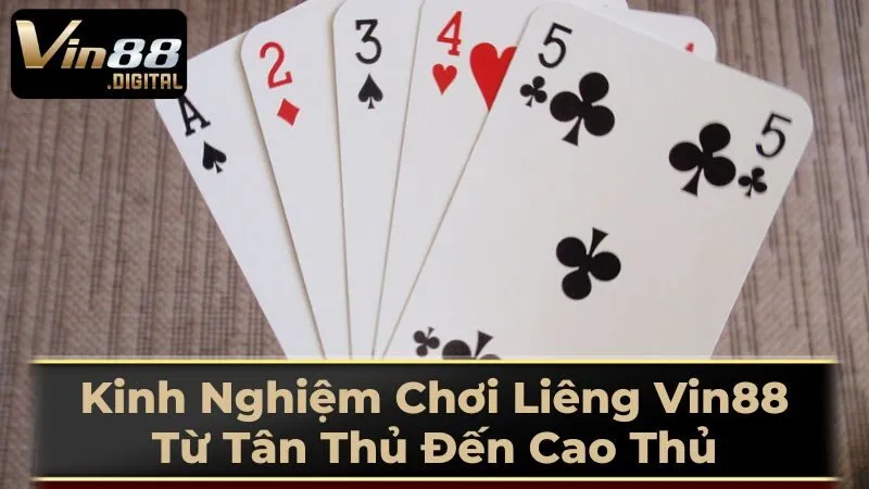 Luật Chơi Liêng Cơ Bản - Nền Tảng Cho Người Mới