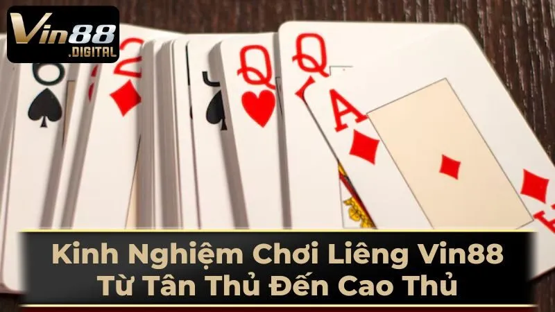 Biến Thể Của Liêng - Đa Dạng Trải Nghiệm